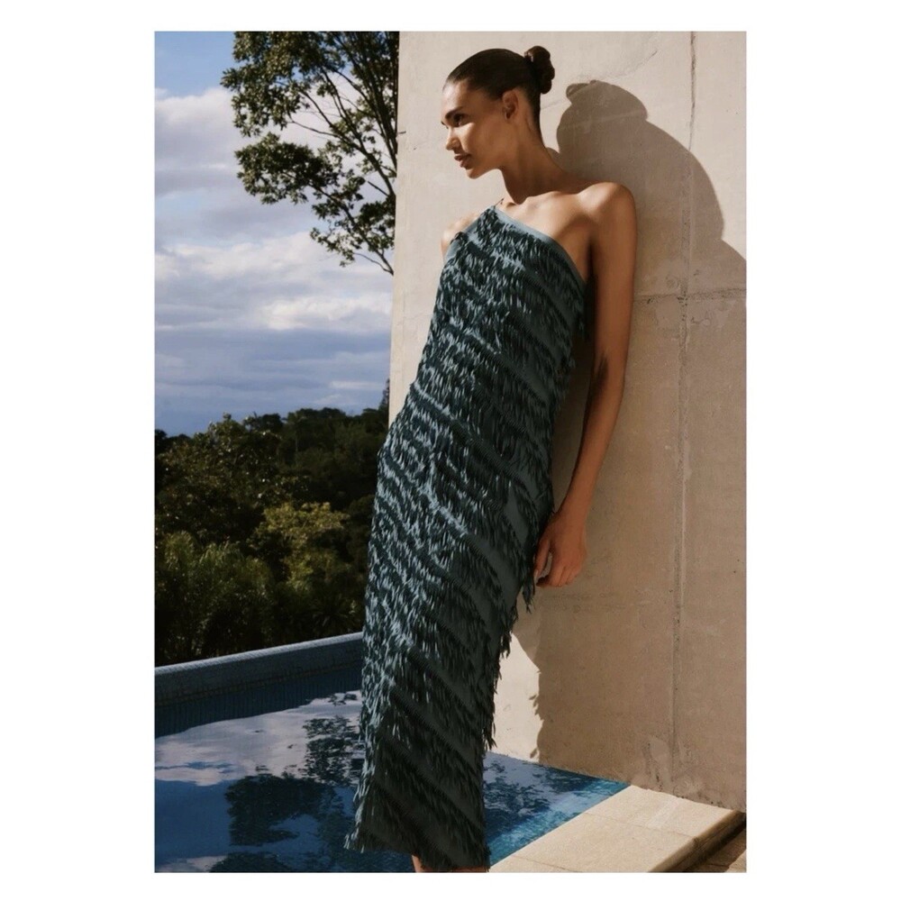 Zara Long Fringe Dress - Picture 7 of 15